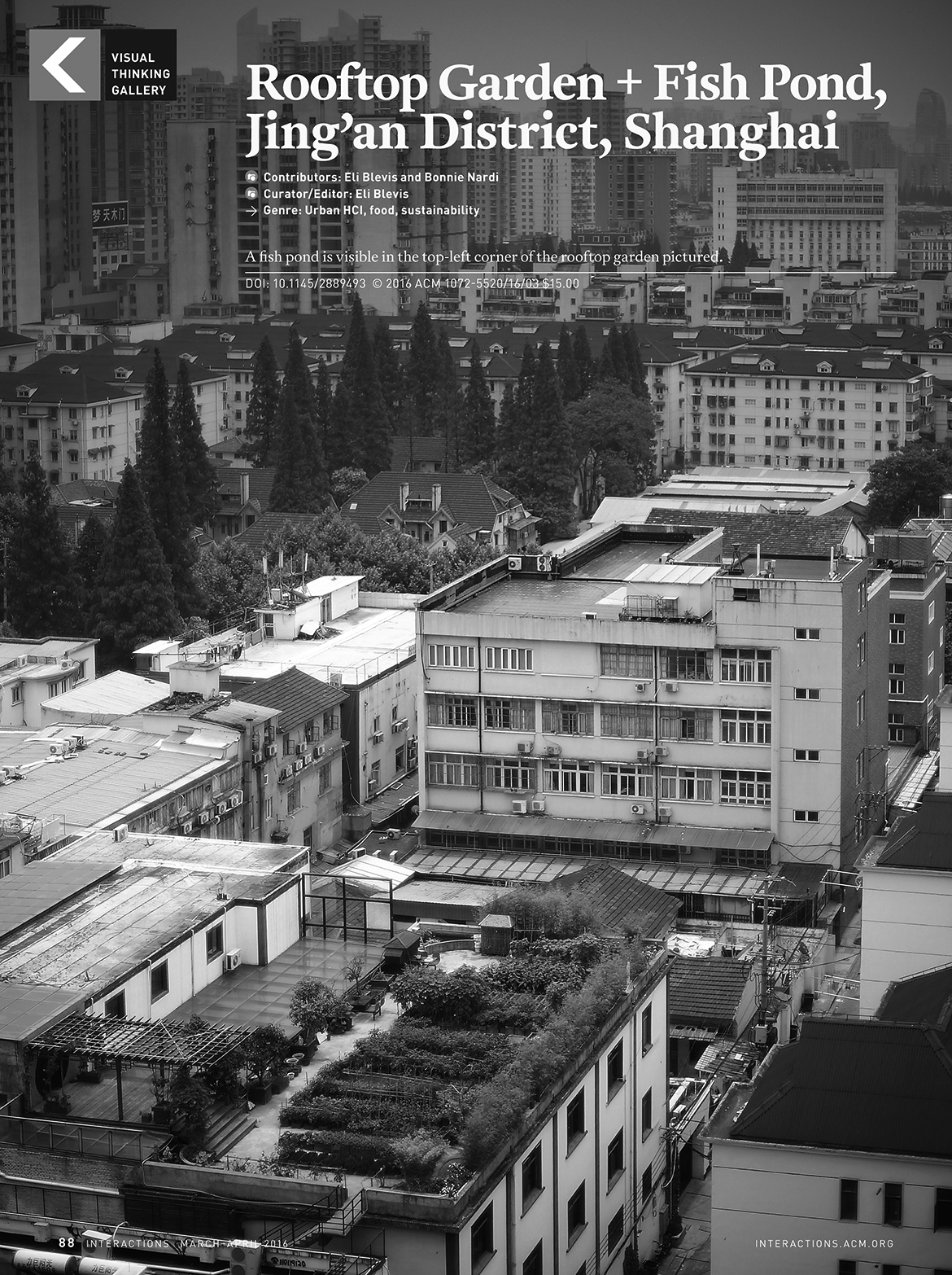 Photograph: Rooftop Garden